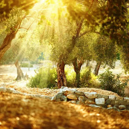 Trullo Nascosto, Puglias Hidden Gem Holiday home