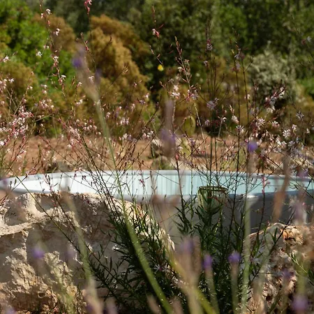 Holiday home Trullo Nascosto, Puglias Hidden Gem