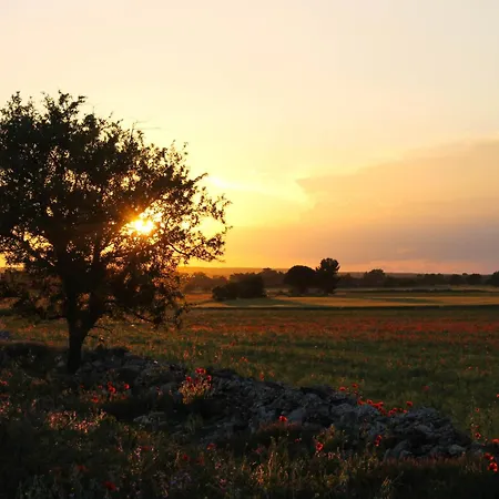 Holiday home Trullo Nascosto, Puglias Hidden Gem *